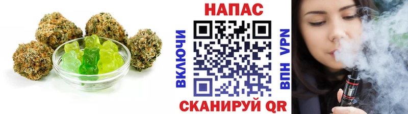 Купить закладки  Пустошка  Canna-Cookies конопля 