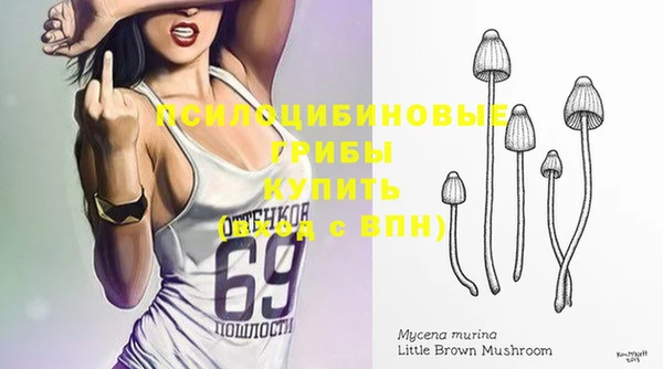 a pvp Заводоуковск