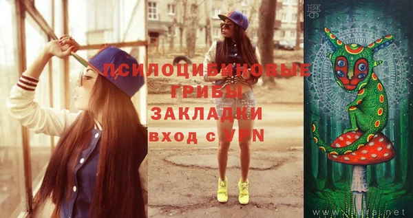 a pvp Заводоуковск